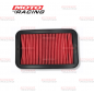 FILTRO AIRE HONDA CB1 -  CB TWISTER 125 -  GLH 150 GAUCHA (WEGA)