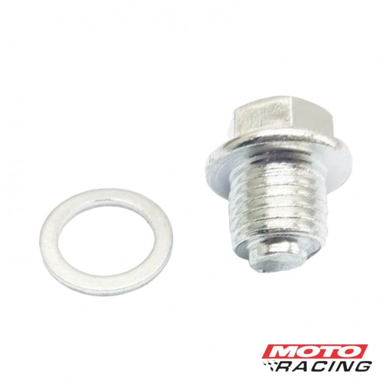 BULON FLAUTIN DISTRIBUCION C-  ARANDELA SMASH 110 (T-FORCE)