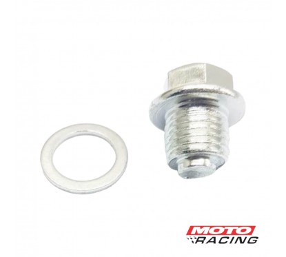 BULON FLAUTIN DISTRIBUCION C-  ARANDELA SMASH 110 (T-FORCE)