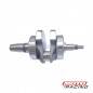 CIGUEÑAL COMPLETO BAJAJ NS 200-  AS 200 (T-FORCE)