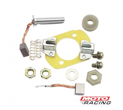 PLAQUETA PORTA CARBONES BAJAJ PULSAR 150 -  180 (T-FORCE)