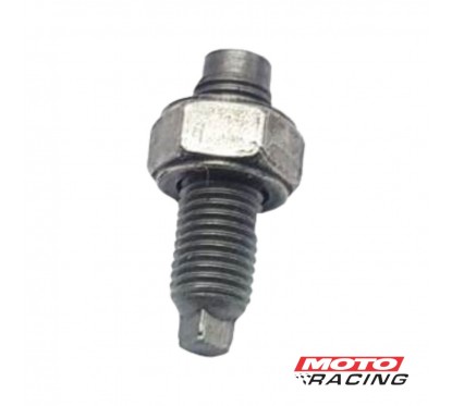 REGISTRO BALANCIN 6mm TODAY- TITAN- RX 150 C- TUERCA (T-FORCE)