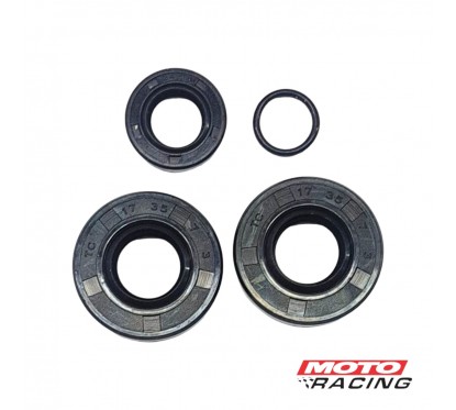 RETEN MOTOR ZANELLA JUEGO V3-  DUE-  SOL 50 4 Pieza (T-FORCE)