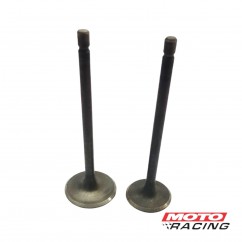 VALVULA ADM-ESC MOTOMEL DAKAR 200 TRABA ABAJO (T-FORCE)