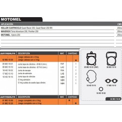 JUNTA CABEZA CILINDRO MOTOMEL XPLORA 250 C/O'RING (ALFA)