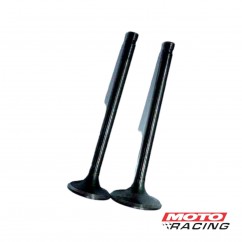VALVULA ADMISION -  ESCAPE HONDA CB1 125 (T-FORCE)