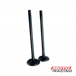 VALVULA ADM -  ESC SUZUKI GN 125 -  EN 125 (T-FORCE)