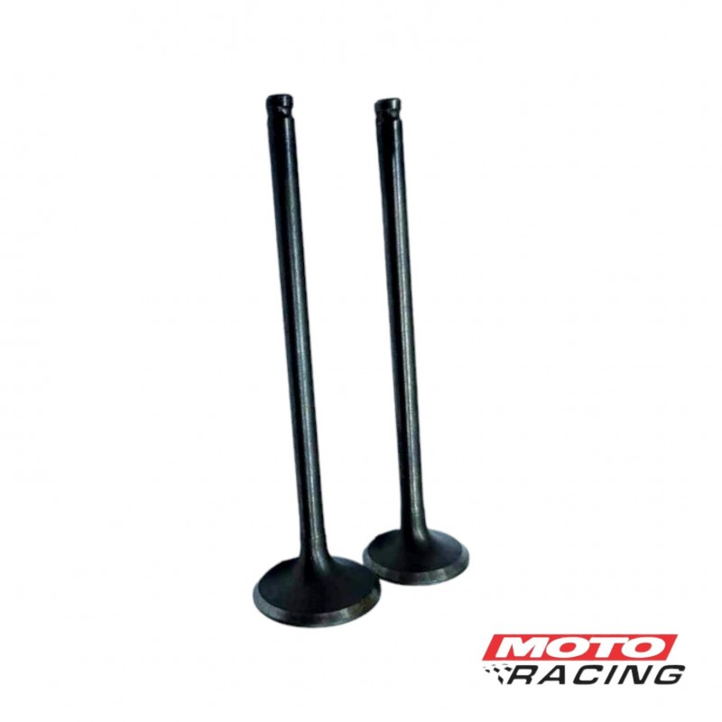 VALVULA ADM -  ESC SUZUKI GN 125 -  EN 125 (T-FORCE)