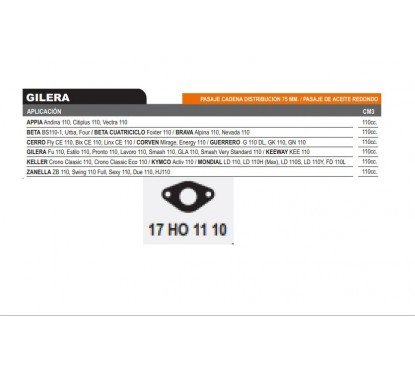 JUNTA ADMISION CORVEN ENERGY 110 -  SMASH 110