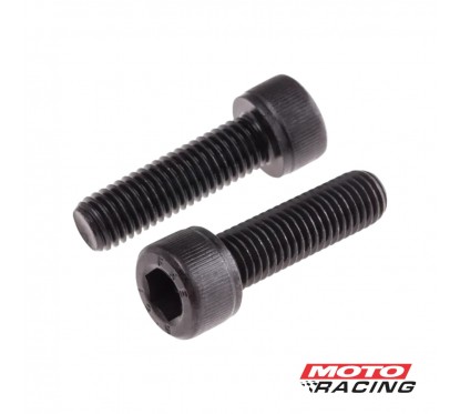 TORNILLO ALLEN CABEZA REDONDA 6x45mm