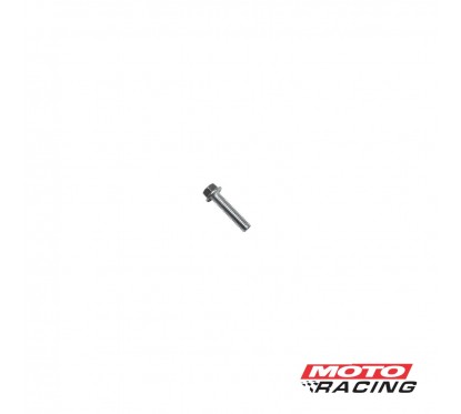 TORNILLO CABEZA HEXAGONAL 6X25mm C-  FLANGE