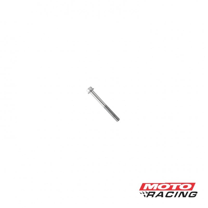 TORNILLO CABEZA HEXAGONAL 6X55mm C-  FLANGE