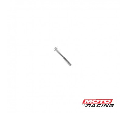 TORNILLO CABEZA HEXAGONAL 6X55mm C-  FLANGE