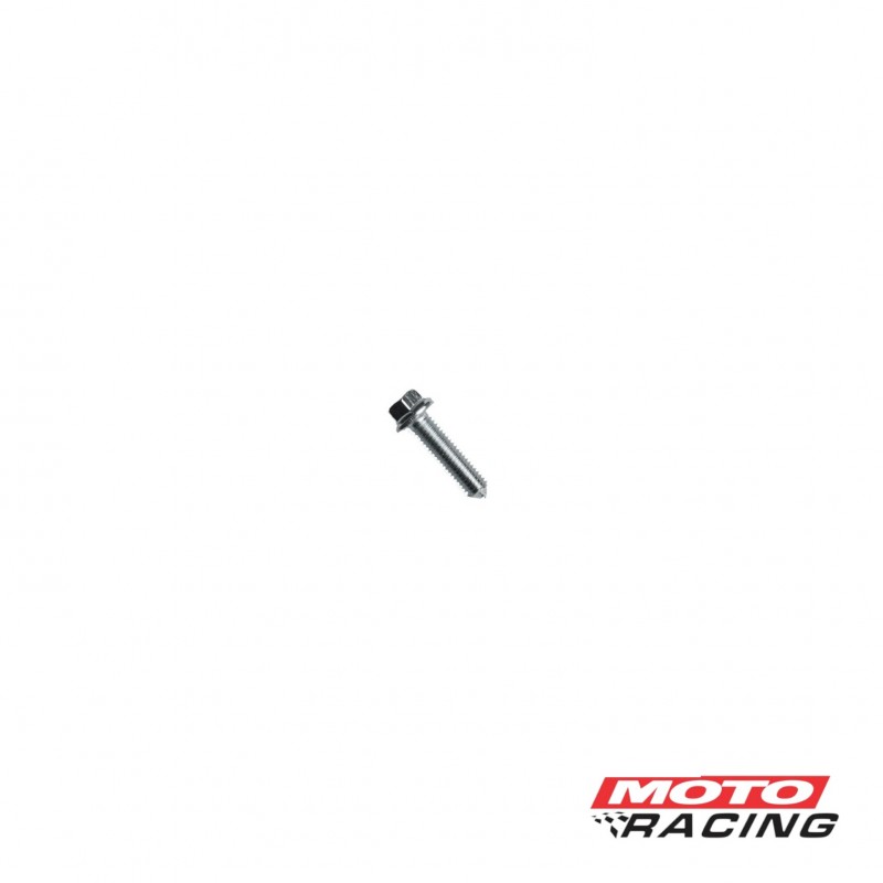 TORNILLO CABEZA HEXAGONAL 6X20mm C-  FLANGE