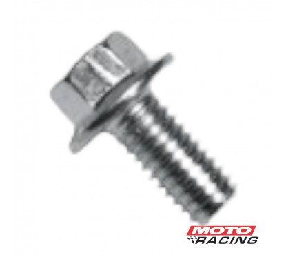 TORNILLO CABEZA HEXAGONAL 6X12mm C-  FLANGE