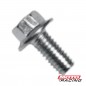TORNILLO CABEZA HEXAGONAL 6X12mm C-  FLANGE