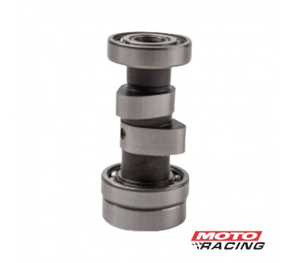 ARBOL DE LEVA GILERA SMASH 110 LARGO S- DESCOMPRESOR (CATI-MOTO)