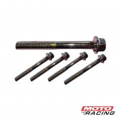 TORNILLO CABEZA HEXAGONAL 6X60mm C-  FLANGE