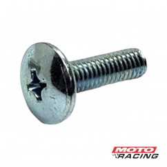 TORNILLO 6 x 20 mm PLATEADO P- PLASTICOS (VC)