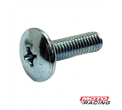 TORNILLO 6 x 20 mm PLATEADO P- PLASTICOS (VC)