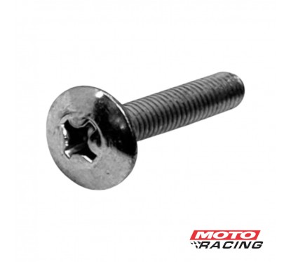 TORNILLO 6 x 30 mm PLATEADO P- PLASTICOS VC