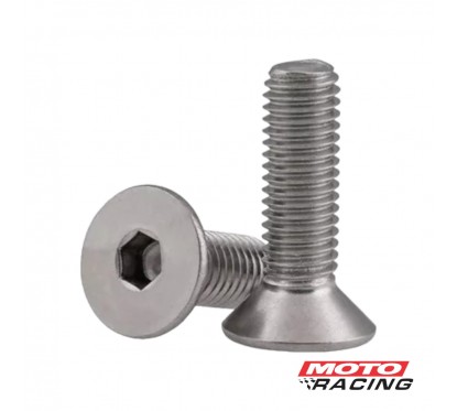 TORNILLO ALLEN CABEZA FRESADA 8x25mm INOXIDABLE