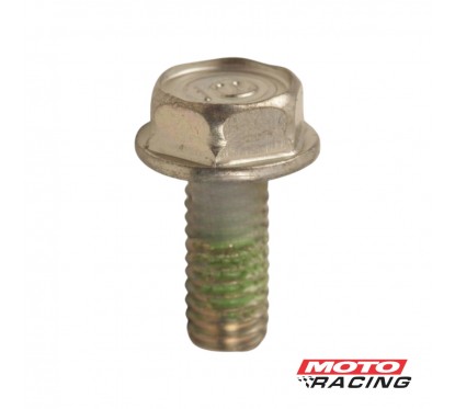 TORNILLO EXAGONAL 6 X 14 GOMA PEDALIN HONDA XR 150 (ORIGINAL)
