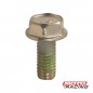 TORNILLO EXAGONAL 6 X 14 GOMA PEDALIN HONDA XR 150 (ORIGINAL)