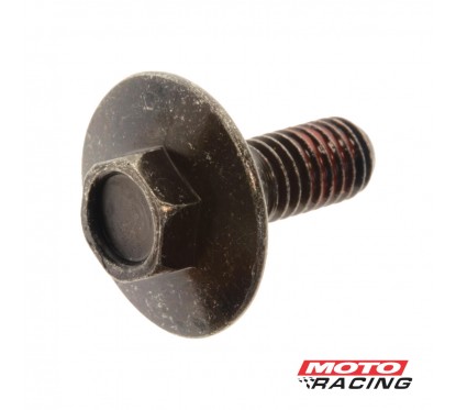 TORNILLO SENSOR MULETA HONDA VARIAS 6X16mm (ORIGINAL)