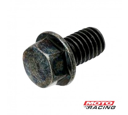 TORNILLO CABEZA HEXAGONAL 6X10mm C-  FLANGE (ORIGINAL)