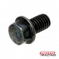 TORNILLO CABEZA HEXAGONAL 6X10mm C-  FLANGE (ORIGINAL)