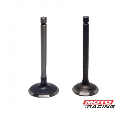 VALVULA YAMAHA YBR- XTZ 125 ADMISION -  ESCAPE (HADA)