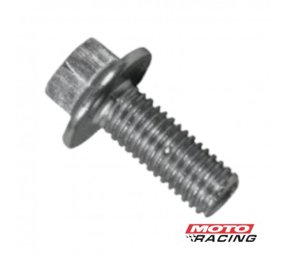 TORNILLO CABEZA HEXAGONAL 8X20mm C-  FLANGE