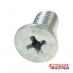 TORNILLO CABEZA FRESADA PHILLIPS 5x10mm EMBRAGUE- ROTOR ACEITE
