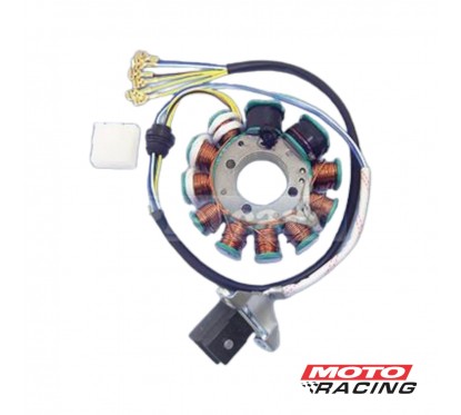 ESTATOR CERRO COLT 150 -  200 11 POLOS (PIETCARD)