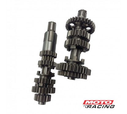 EJE Y ENGRANAJE ZANELLA ZTT 200 S-  ROSCA DIRECTA LARGA (OSAKA)