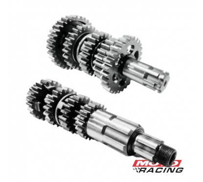 EJE Y ENGRANAJE ZANELLA ZTT 200-  BETA BK150 C-  ROSCA (OSAKA)