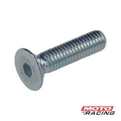 TORNILLO ALLEN CABEZA FRESADA 5x15mm ZINCADO (MR)