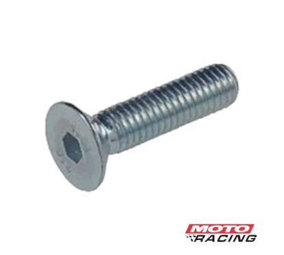 TORNILLO ALLEN CABEZA FRESADA 5x15mm ZINCADO (MR)