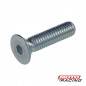 TORNILLO ALLEN CABEZA FRESADA 6x20mm ZINCADO (MR)