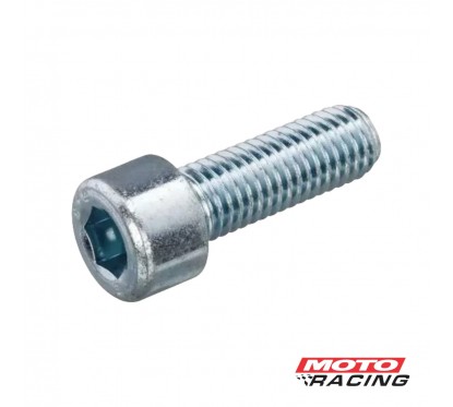 TORNILLO ALLEN CABEZA REDONDA 6x45mm ZINCADO (MR)