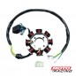 ESTATOR ZANELLA RX 150 17 M- NUEVO (REPCOR)