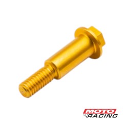 TORNILLO FRENO CABEZA HEXAGONAL DORADO RB PARTS