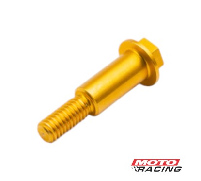 TORNILLO FRENO CABEZA HEXAGONAL DORADO RB PARTS