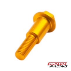 TORNILLO EMBRAGUE CABEZA HEXAGONAL DORADO RB PARTS