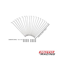 RAYOS C-  NIPLES 4.0 x 160mm TRASERO HONDA TITAN 36un (PRO TORK)