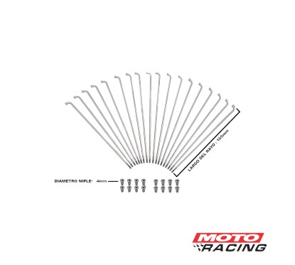 RAYOS C/ NIPLES 4.0 x 160mm TRASERO HONDA TITAN 36un (PRO TORK)