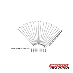 RAYOS C/ NIPLES 3.5 x 160mm DEL HONDA TITAN x36un (PRO TORK)