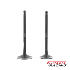 VALVULA ADMISION -  ESCAPE BAJAJ BOXER 150 Jgo. (STD)