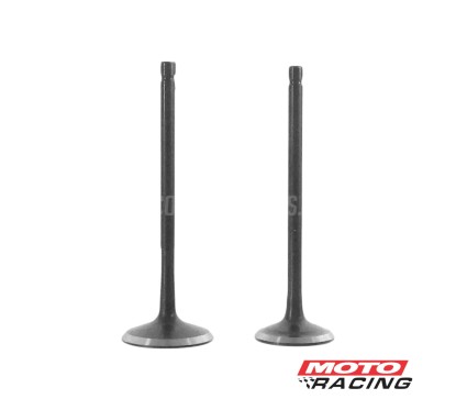 VALVULA ADMISION -  ESCAPE BAJAJ BOXER 150 Jgo. (STD)